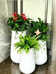海曙绿化养护植物选择-慈溪花木租摆租金-海曙租绿植优势-海曙绿植租摆用途